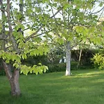 Lutzi\'S Ferienwohnung